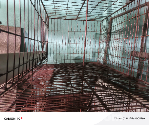 পশু পাখি ও মুরগি খাঁচা